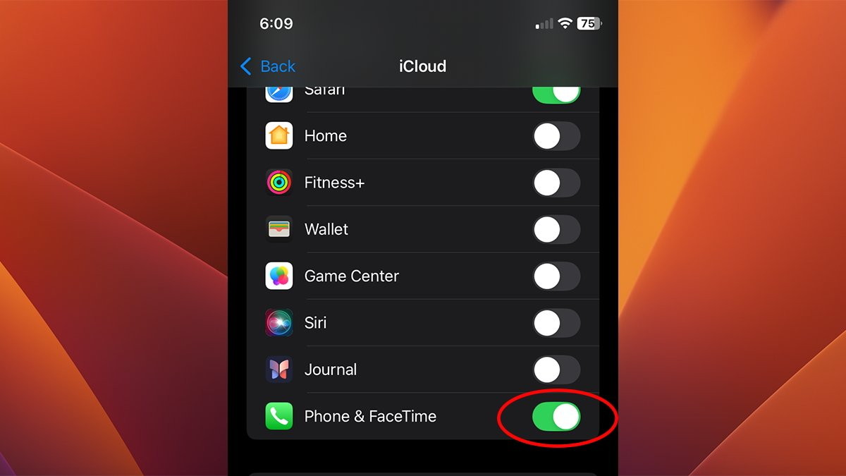 ringtones menu